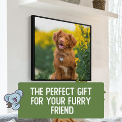 The Perfect Gift For Your Furry Friend